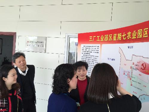 了解星期七生态旅游观光园党建工作